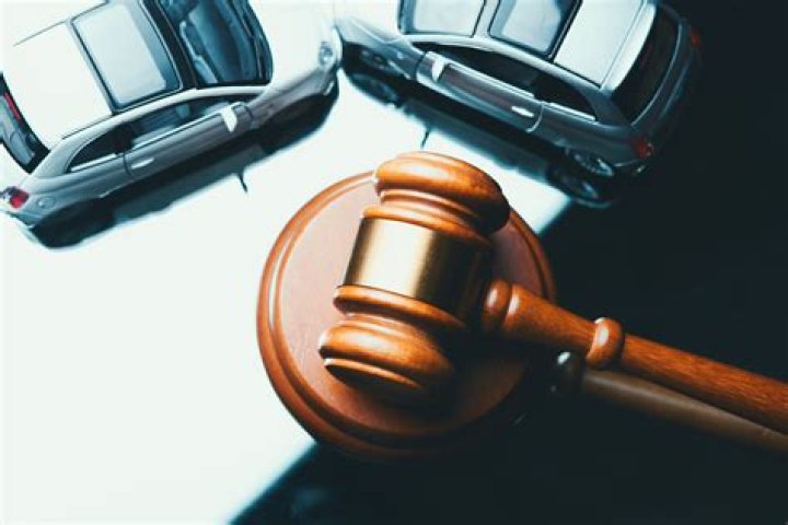 What is a government auto auction?