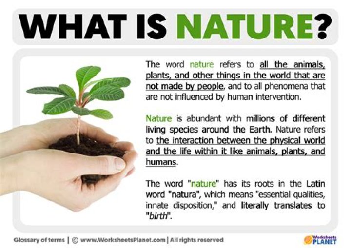 What is a nature reserve UK?
