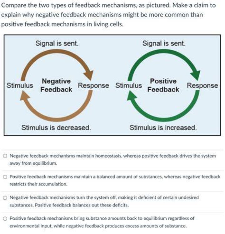 What is a negative feedback system give an example?