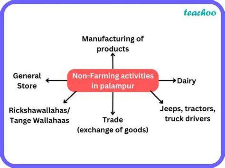 What is a non farm activity?