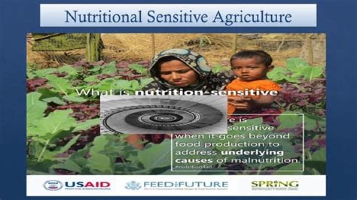 What is a nutrition-sensitive agriculture?