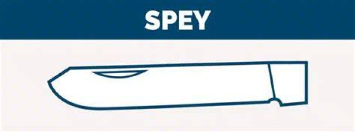 What is a spey blade?
