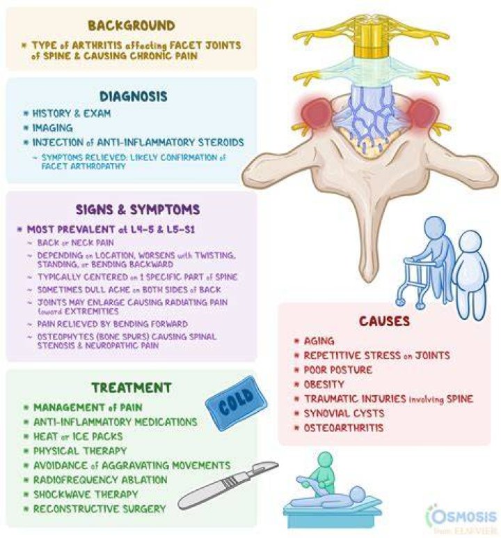 What is a stress reaction in the spine?