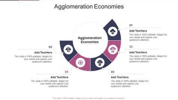 What is agglomeration economics class 10th?
