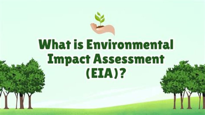 What is an environmental consent decree?
