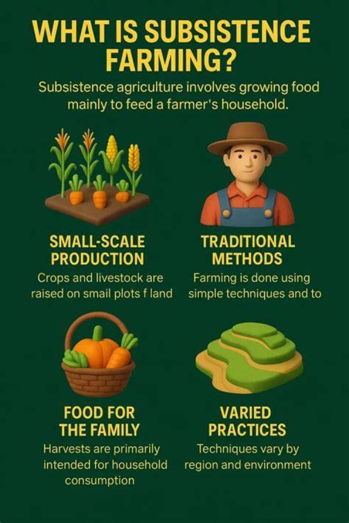 What is an example of a subsistence economy?