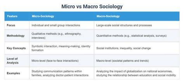 What is an example of micro-level sociology?