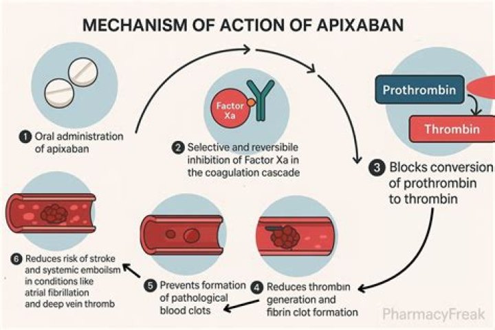 What is apixaban and how does it work?