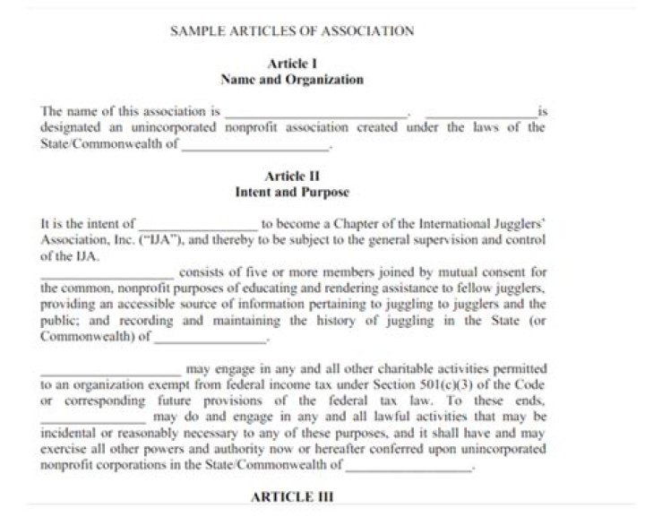 What is article of association with example?