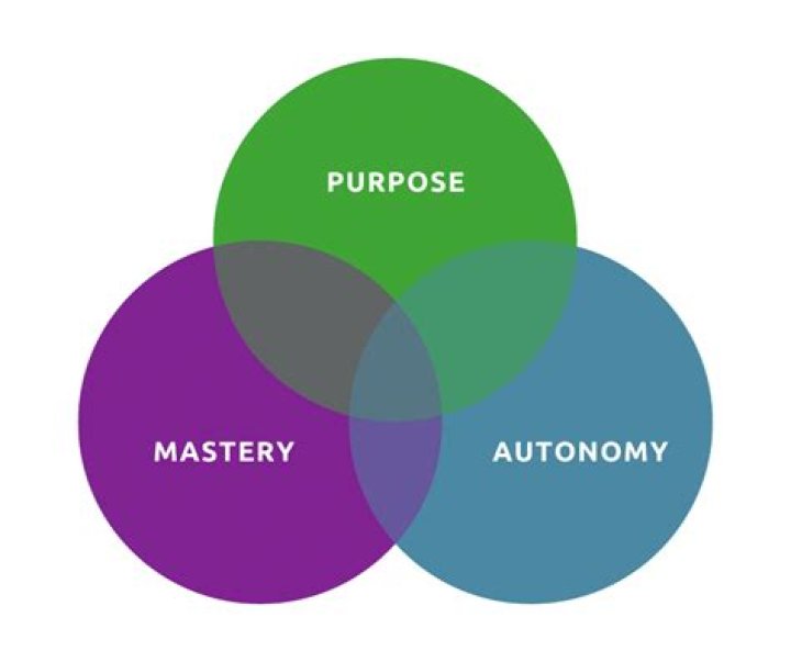 What is autonomy mastery and purpose?