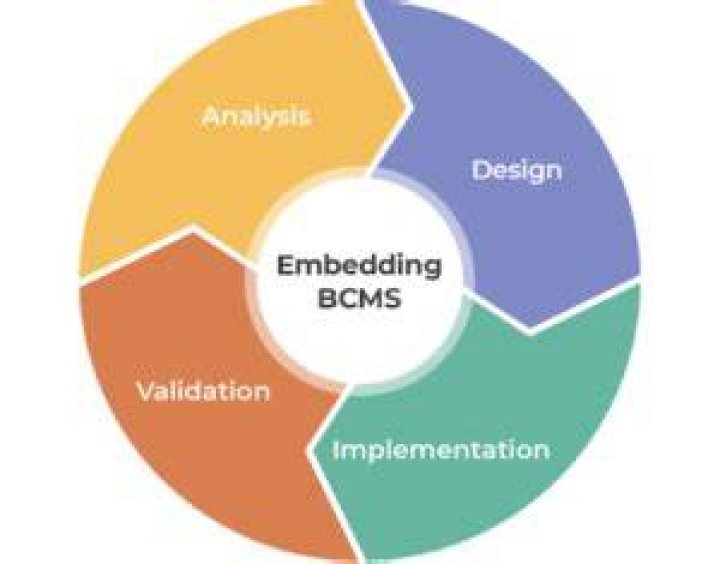 What is BCMS 2020?