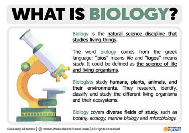 What is biology in CXC?