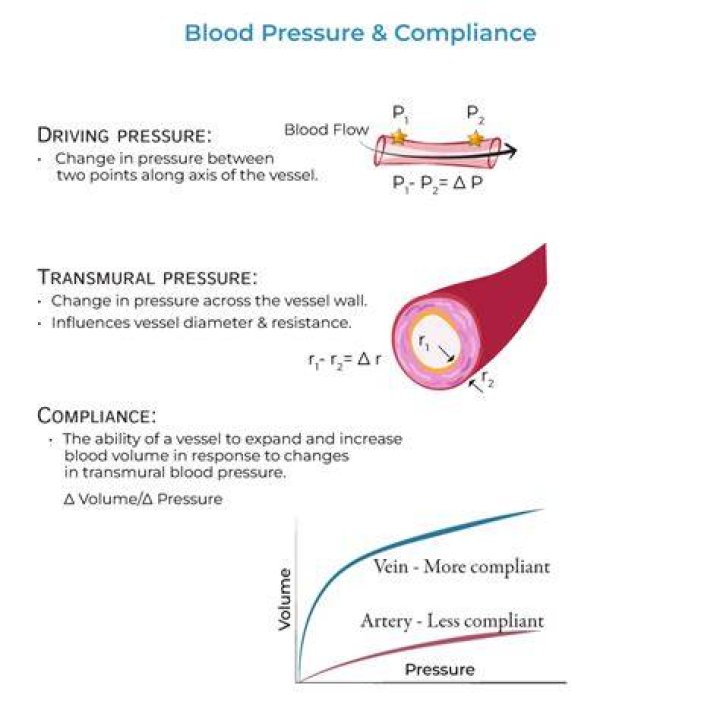What is blood vessel compliance?