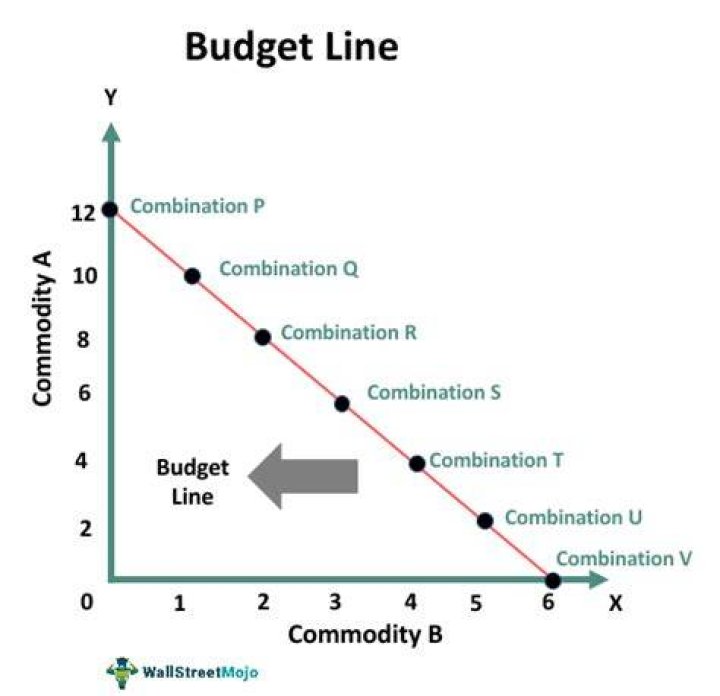 What is budget line example?