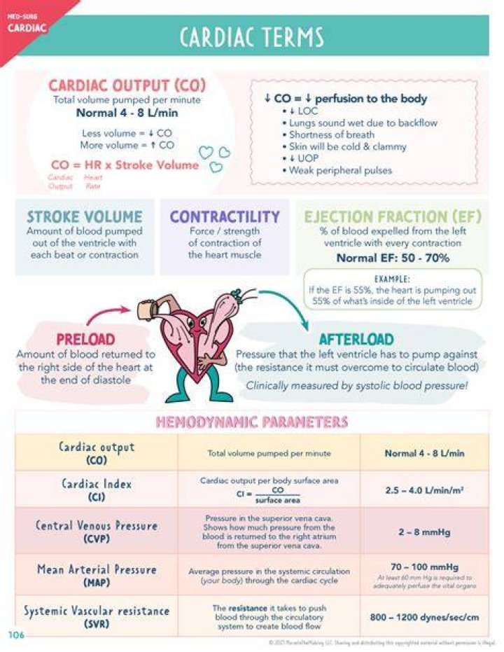 What is cardiac in medical terms?