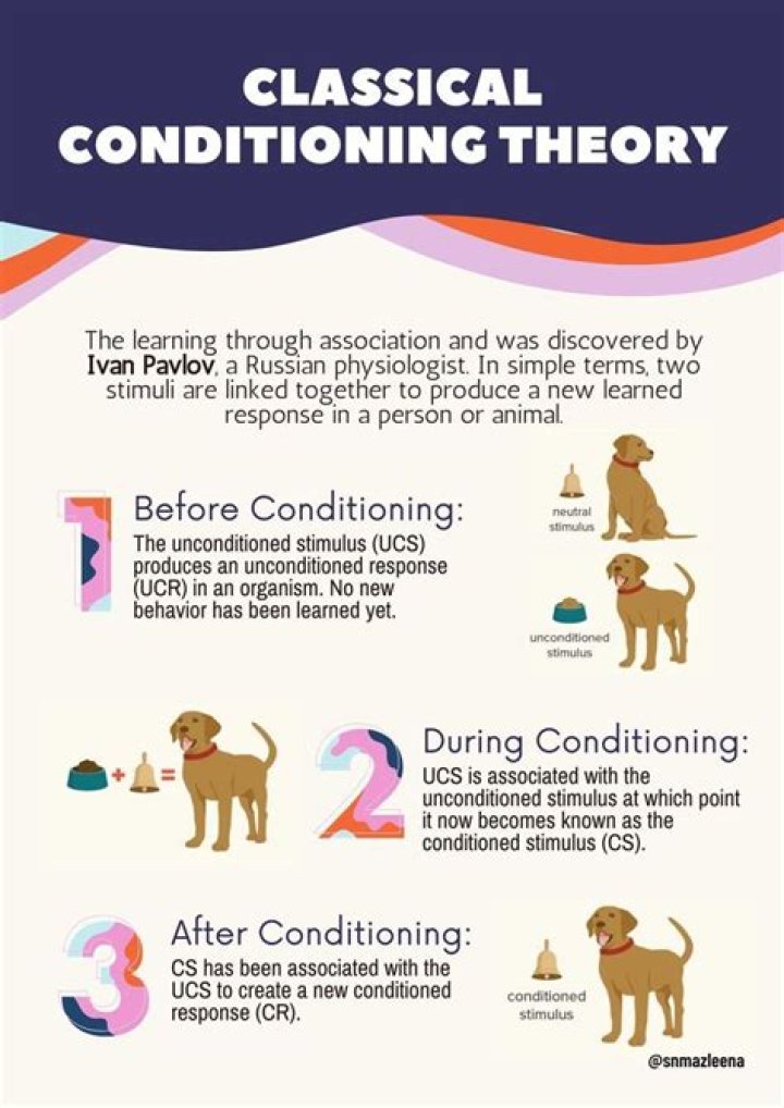 What is classical conditioning and how does it work?