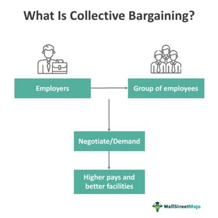 What is collective fleet?