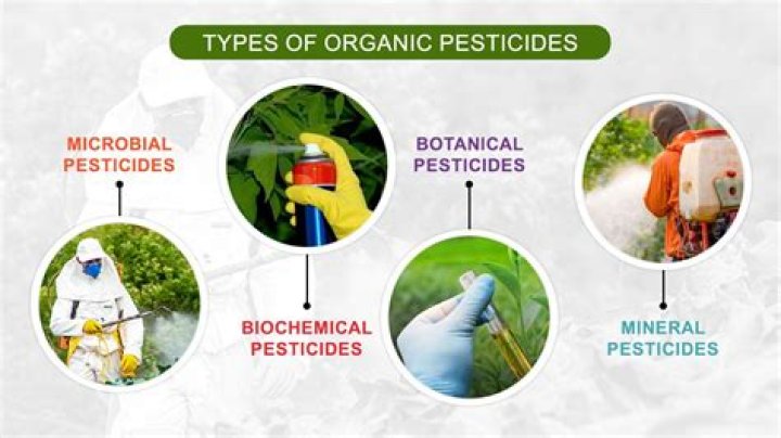 What is considered a natural pesticide?