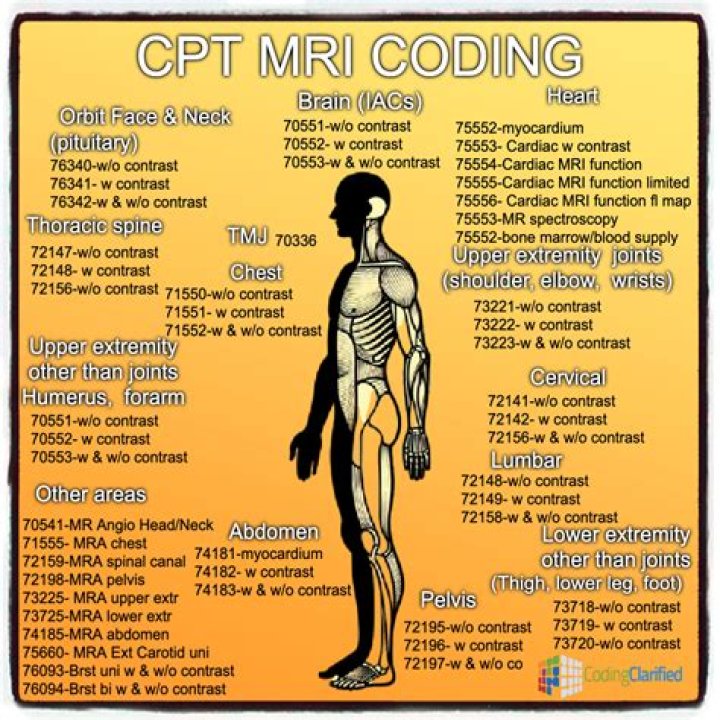 What is CPT code for Spermatocelectomy?