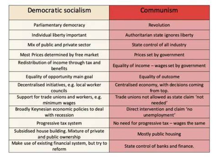 What is democratic economic system?