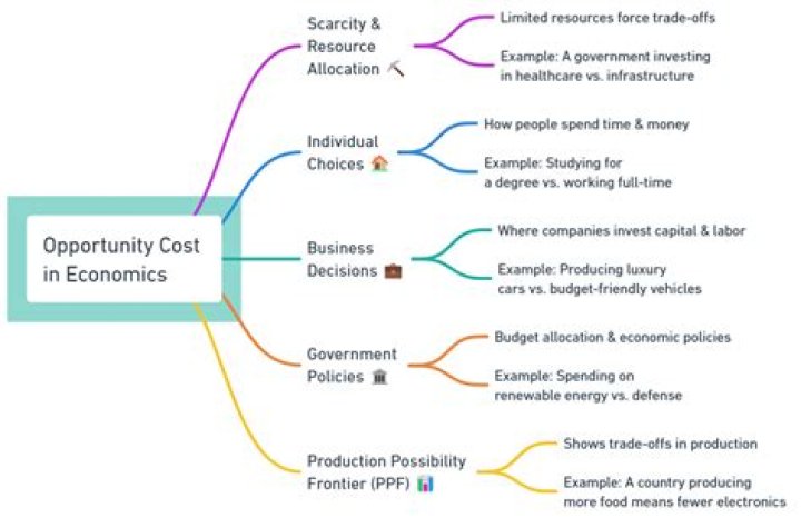 What is design economics and cost planning?