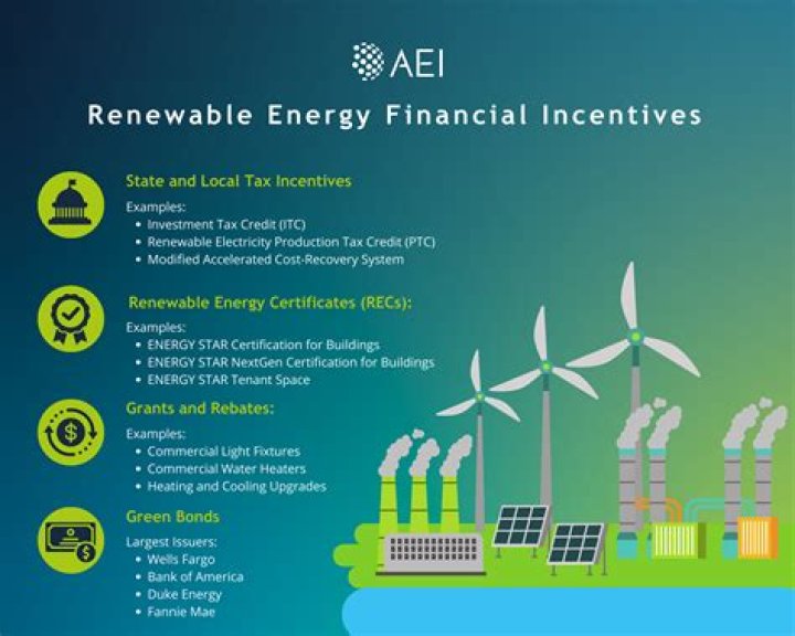 What is domestic renewable heat incentive?