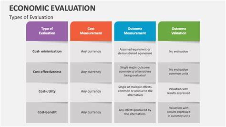 What is economic evaluation and how important is it?