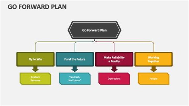 What is forward plan?