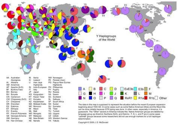 What is Haplogroup N1?
