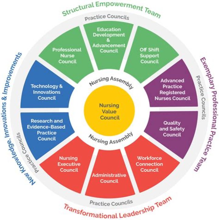 What is HR in professional practice?