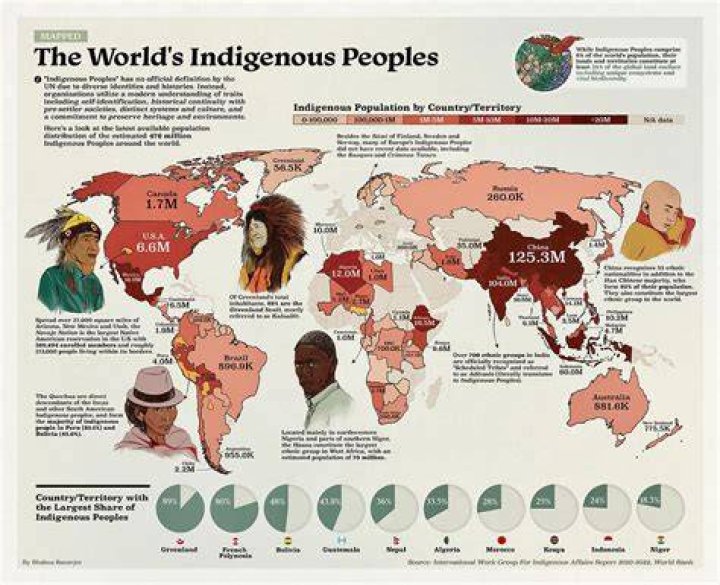 What is indigenous economy?