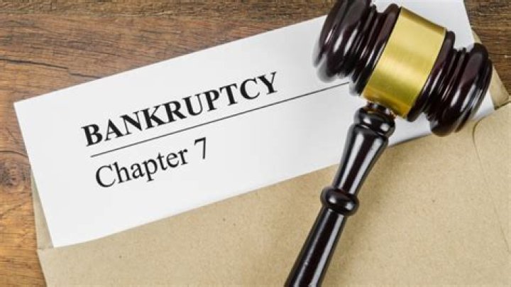 What is Level 7 bankruptcy?