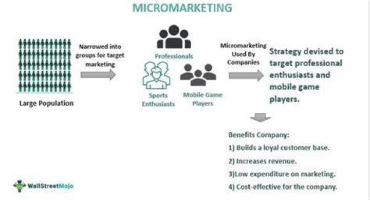 What is Macromarket and Micromarket?