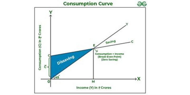 What is meant by consumption function?