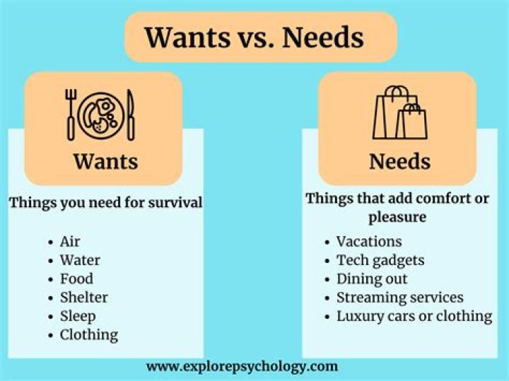 What is meant by individual wants?