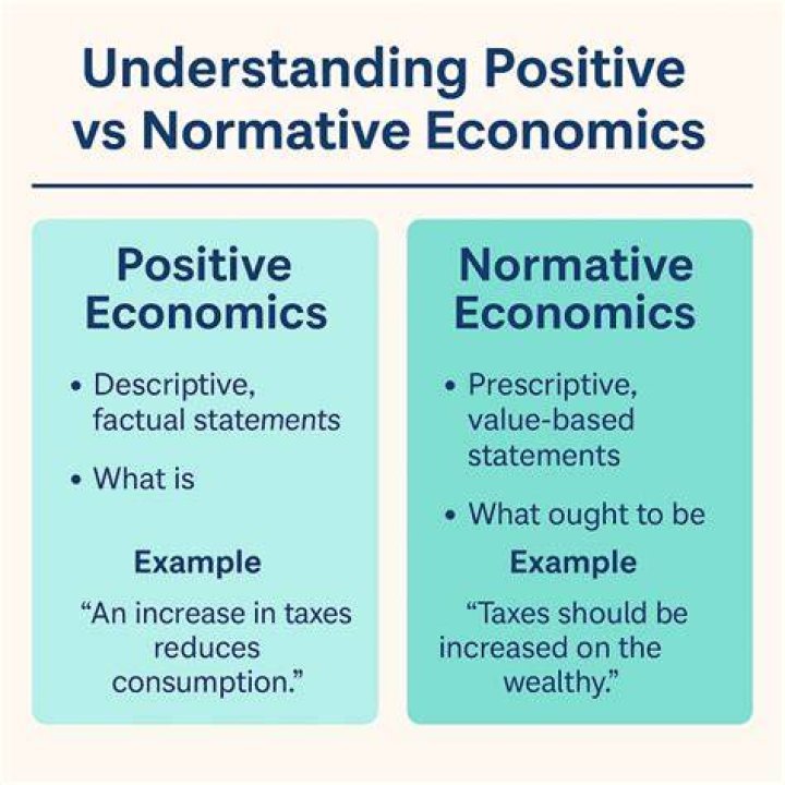 What is meant by positive statement in economics?
