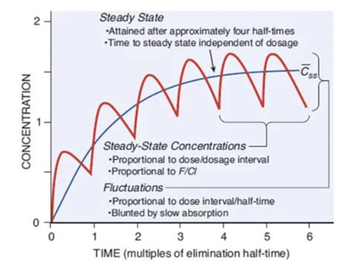 What is meant by steady state condition?