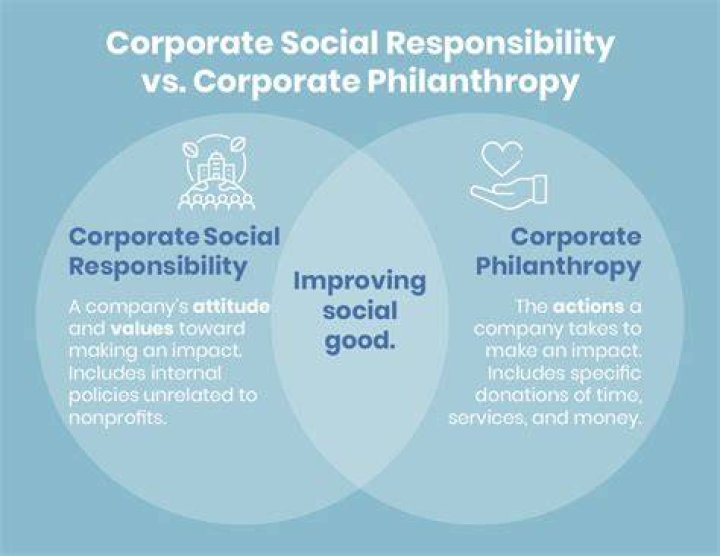 What is Micro philanthropy?