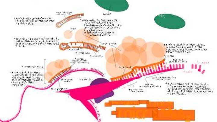 What is MicroRNA hsa-mir-25-3p?