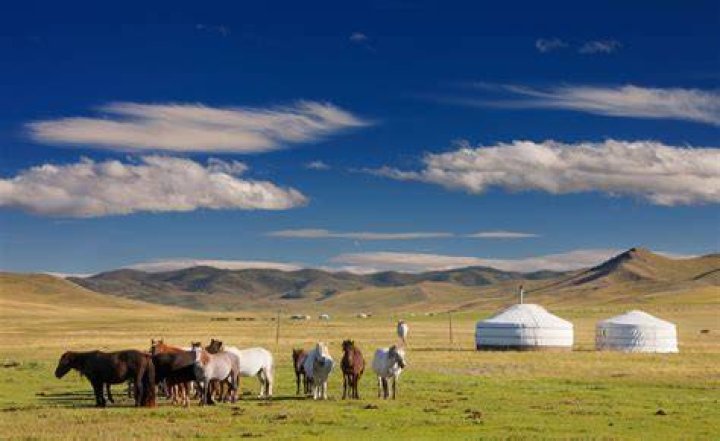 What is Mongolia known for economically?