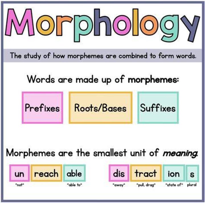 What is morphology according to Mathew 1993?