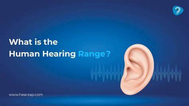 What is normal hearing range in Hz?