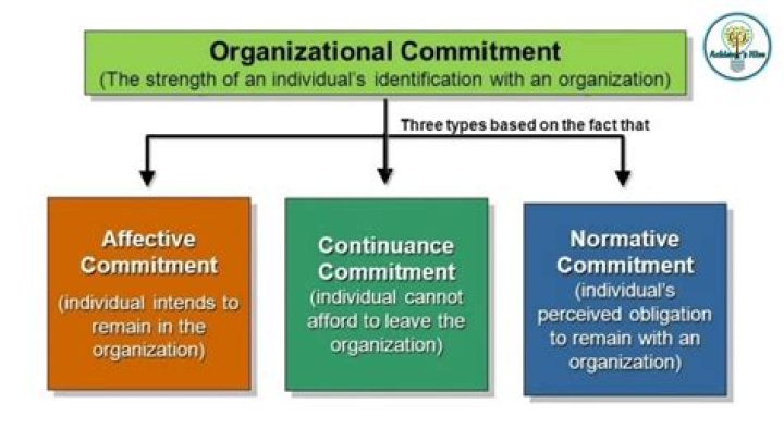 What is Organisational commitment scale?