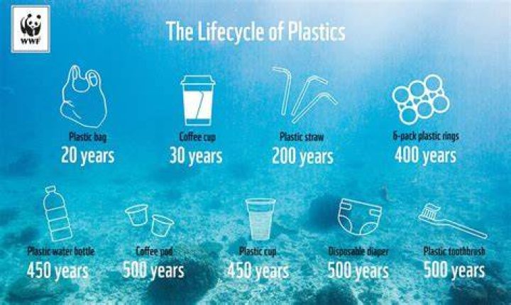 What is plastic-free lifestyle?