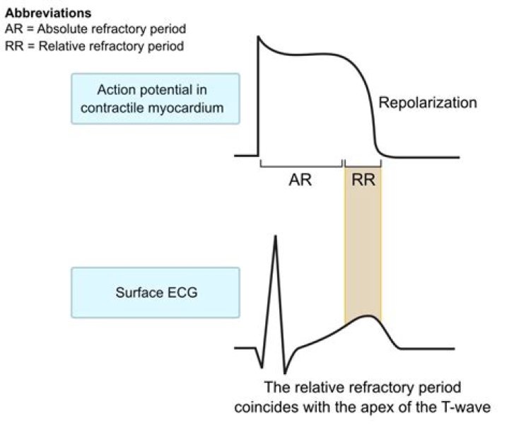 What is relative refractory period in ECG?