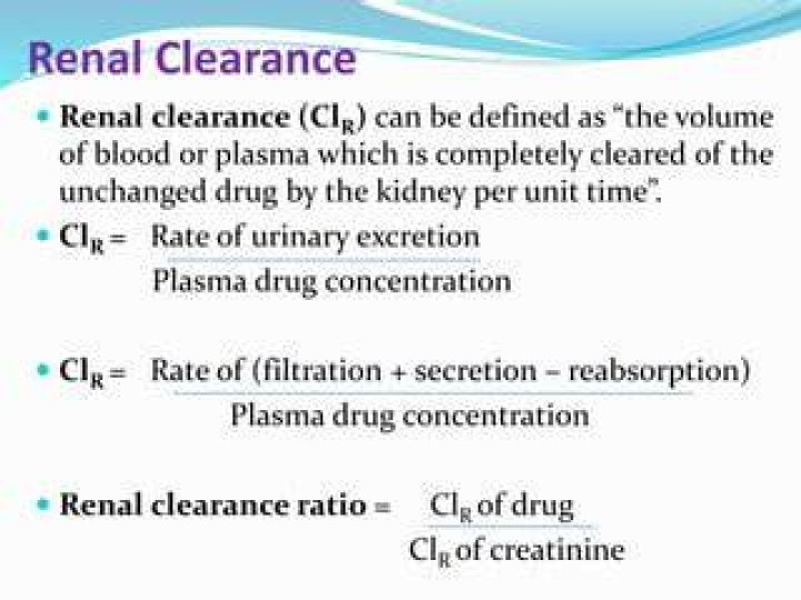 What is renal clearance in Biopharmaceutics?
