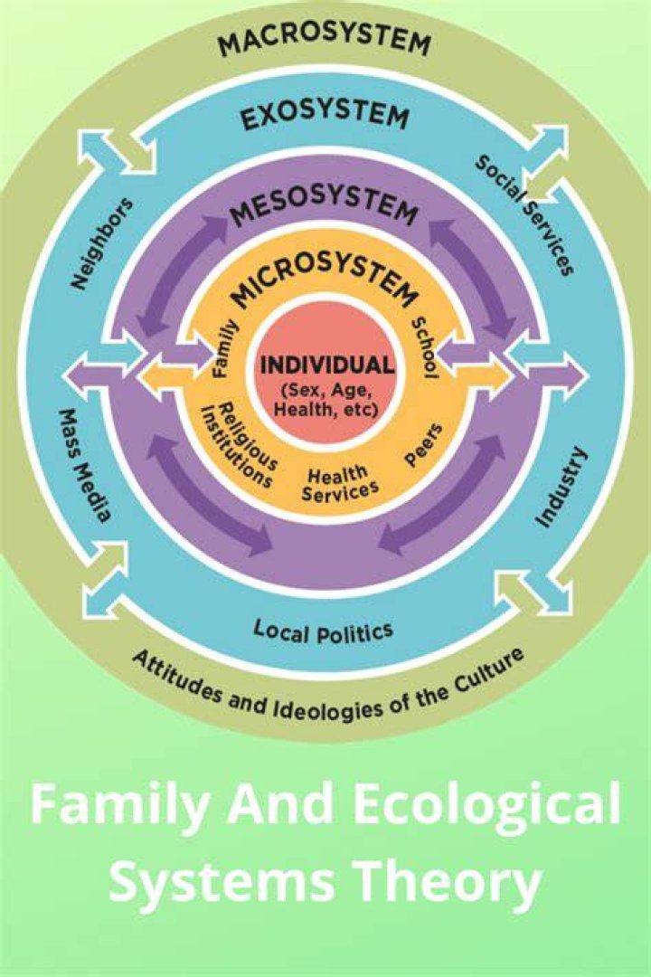What is social ecological theory?
