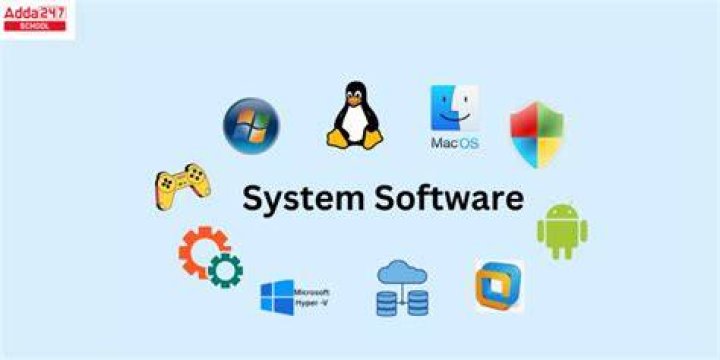 What is software system failure?