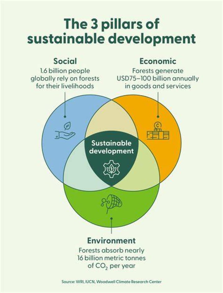 What is sustainability of development write its main features?