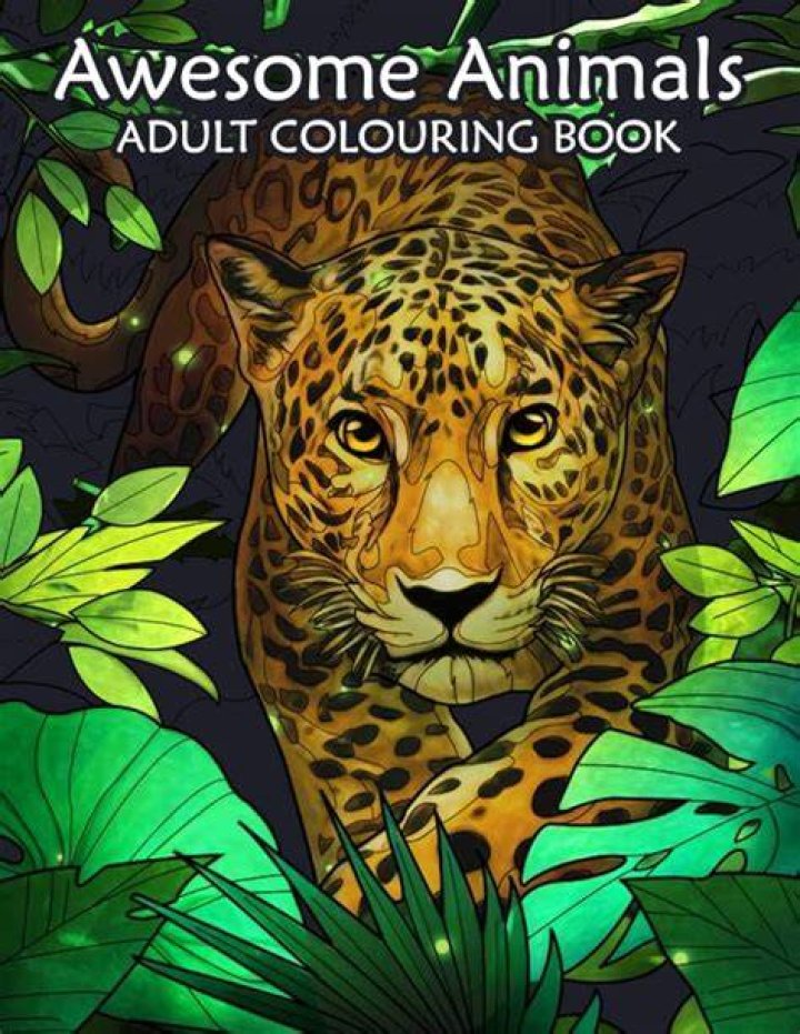 What is the best adult coloring book?